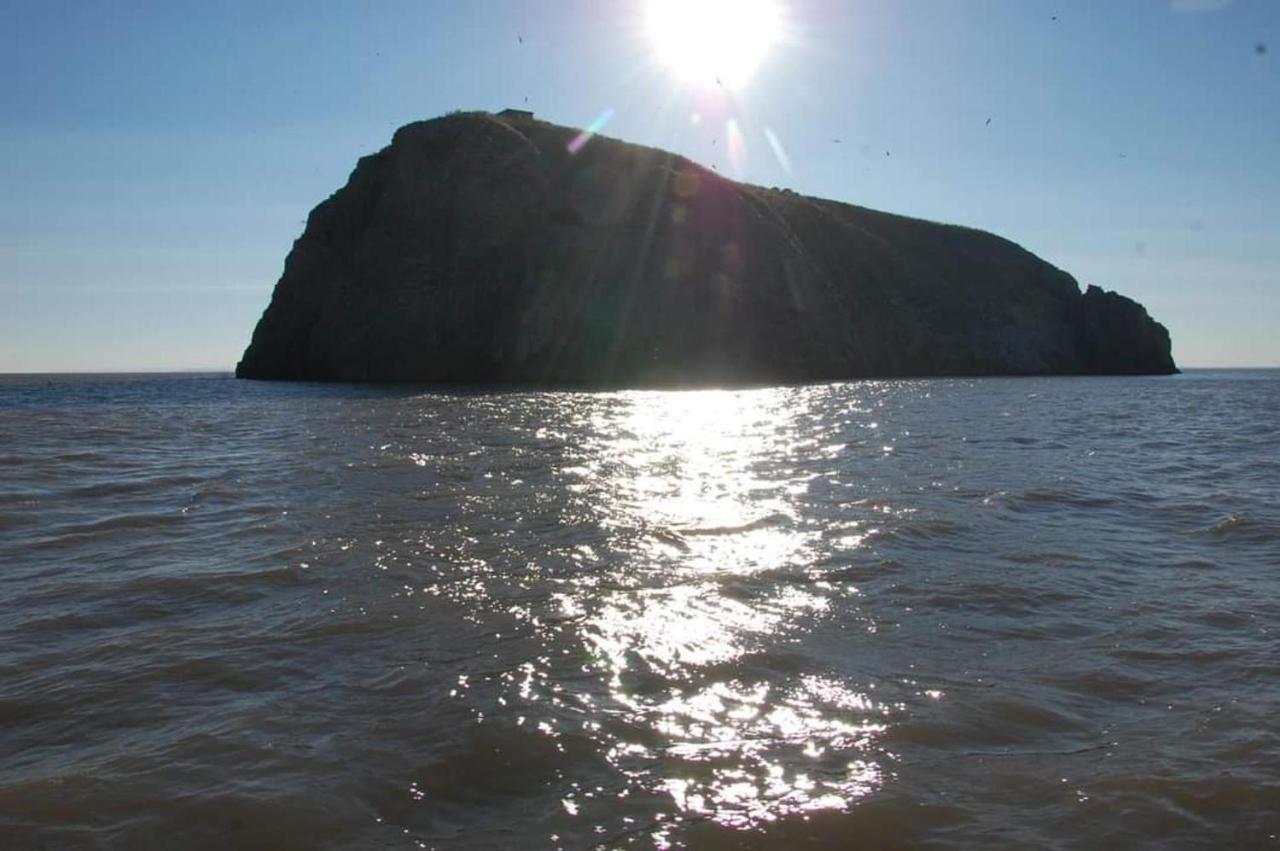 95 Holiday Resort Unity 3 Bed Passes Included Brean Zewnętrze zdjęcie